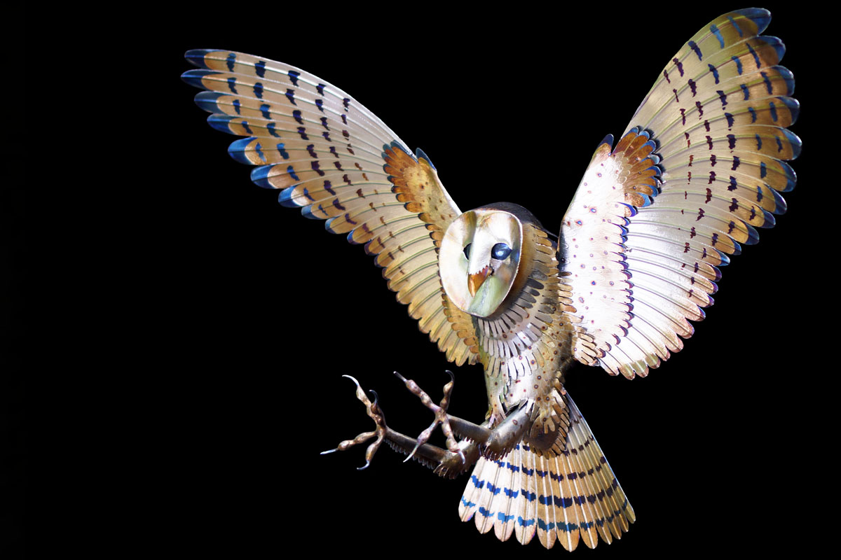 Metal Sculpture Barn Owl